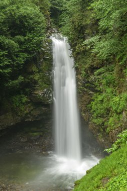 Ormanda Şelale
