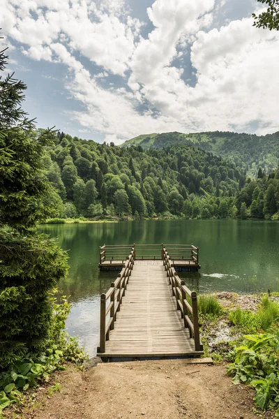 Krásné jezero a molo — Stock fotografie