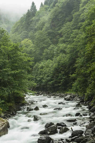 Mountain Stream — Stock Photo, Image