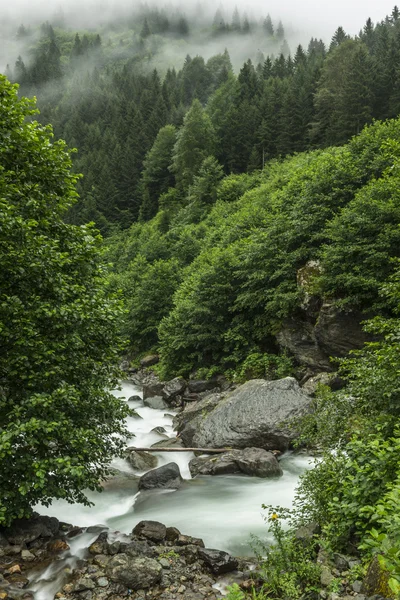 Mountain Stream — Stock Photo, Image