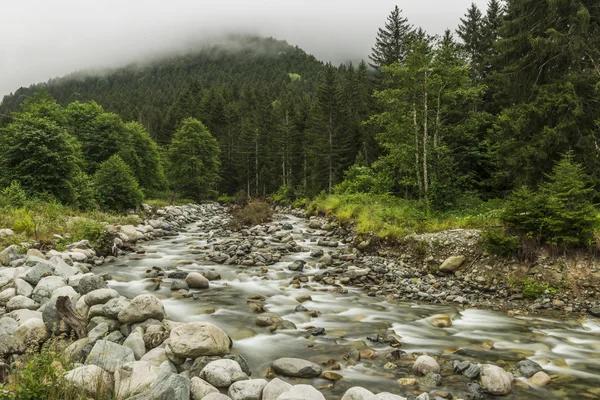 Mountain Stream — Stock Photo, Image