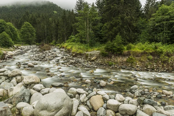 Mountain Stream — Stock Photo, Image