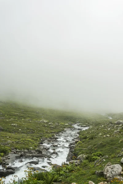 Mountain Stream — Stock Photo, Image