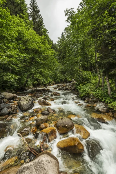 Mountain Stream — Stock Photo, Image