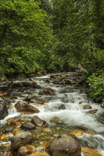 Mountain Stream — Stock Photo, Image