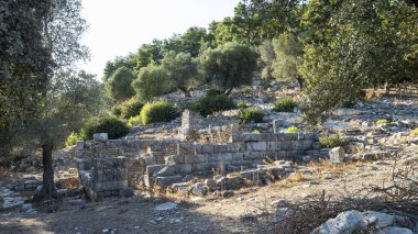 Ancient Ruins of Pedasa in Bodrum Surrounded by Forest from Aerial View