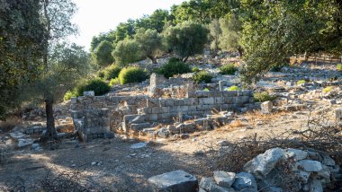 Ancient Ruins of Pedasa in Bodrum Surrounded by Forest from Aerial View