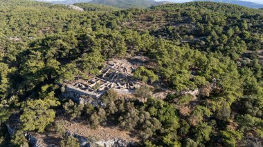 Ancient Ruins of Pedasa in Bodrum Surrounded by Forest from Aerial View