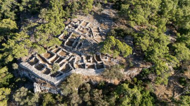 Ancient Ruins of Pedasa in Bodrum Surrounded by Forest from Aerial View