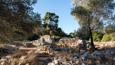 Ancient Ruins of Pedasa in Bodrum Surrounded by Forest from Aerial View