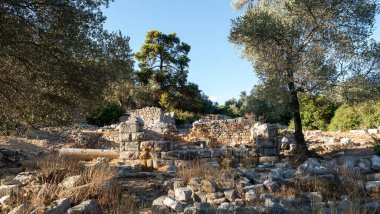 Ancient Ruins of Pedasa in Bodrum Surrounded by Forest from Aerial View