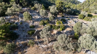 Ancient Ruins of Pedasa in Bodrum Surrounded by Forest from Aerial View