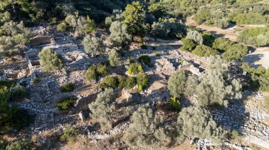 Ancient Ruins of Pedasa in Bodrum Surrounded by Forest from Aerial View