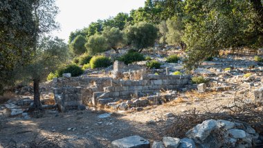 Ancient Ruins of Pedasa in Bodrum Surrounded by Forest from Aerial View