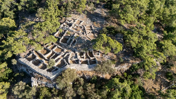Ancient Ruins of Pedasa in Bodrum Surrounded by Forest from Aerial View