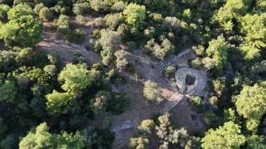 Ancient Ruins of Pedasa in Bodrum Surrounded by Forest from Aerial View