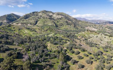 Türkiye 'nin Aydın kentindeki Mastaura Antik Kenti' nin insansız hava aracı görüntüsü, antik kalıntıların, iyi korunmuş Roma amfitiyatrosunun ve yukarıdan çevreleyen manzaranın görüntülerini sergiliyor..