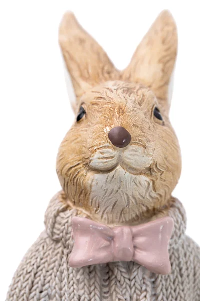 Wielkanoc królik portret — Zdjęcie stockowe
