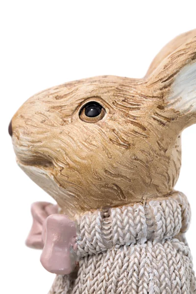 Retrato de conejo de Pascua — Foto de Stock