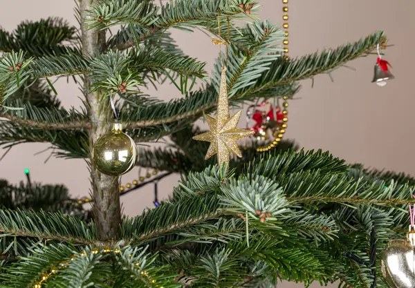 Zlatá hvězda Vánoční dekorace. — Stock fotografie
