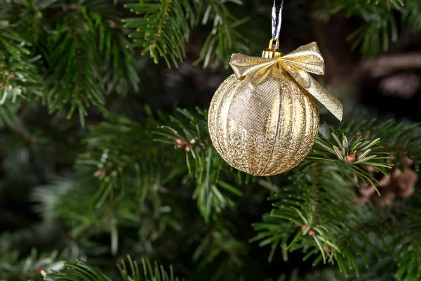 Χριστουγεννιάτικη μπάλα στο πεύκο. — Φωτογραφία Αρχείου