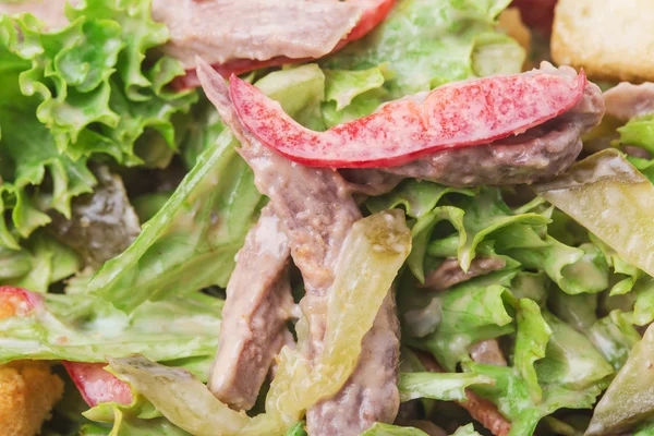 Warm beef salad with croutons. — Stock Photo, Image