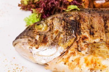 Izgara dorado balık başkanı.