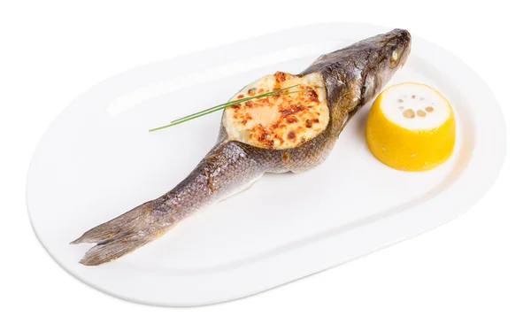 Baked sea bass with seafood and cheese. — Stock Photo, Image