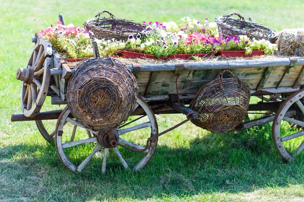 Vecchio carrello di legno con vasi di fiori . — Foto Stock