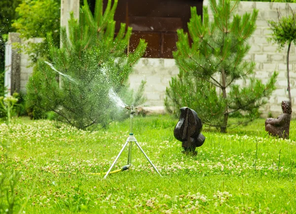 Aspersor de jardín de trabajo . —  Fotos de Stock