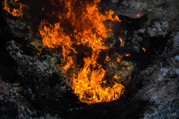 Red and yellow burning flames. — Stock Photo, Image