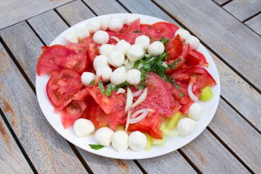 Caprese stilinde lezzetli yaz salatası.