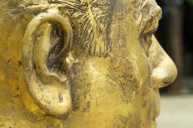 Bitmemiş bronz kafa closeup.
