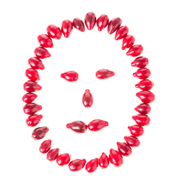 Dogwood berries in form of a face. — Stock Photo, Image