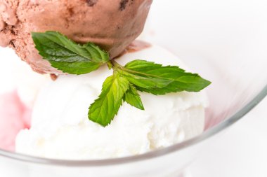 Lezzetli dondurma kase karışık.