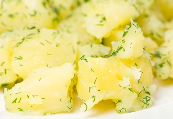 Mashed potatoes and covered with chopped dill. — Stock Photo, Image