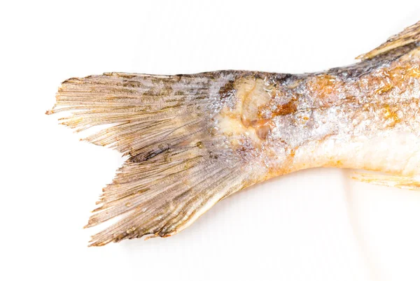 Closeup of grilled seabass tail. — Stock Photo, Image