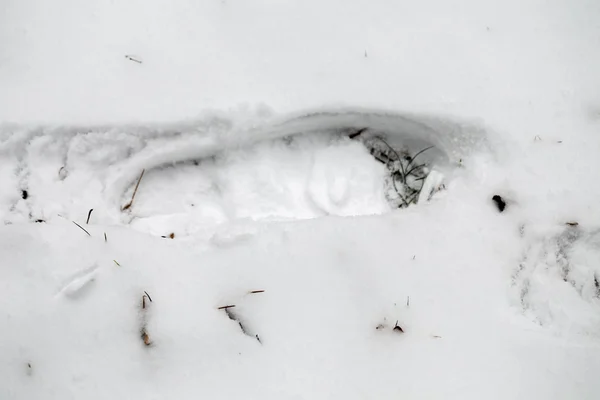 Отпечаток обуви в тонком слое свежевыпавшего снега . — стоковое фото