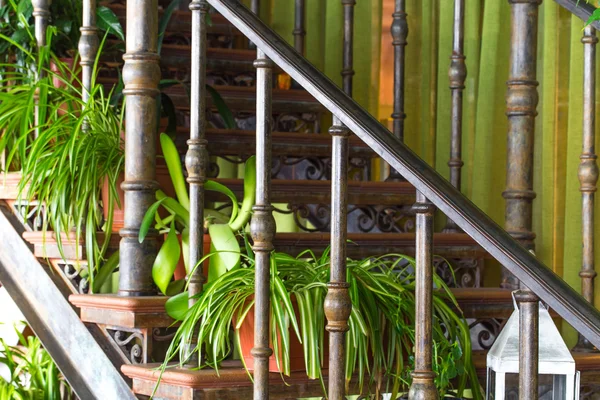 Escadaria com vasos de flores . — Fotografia de Stock