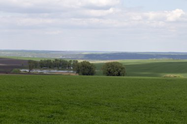 Yeşil alan ve bulutlu gün.
