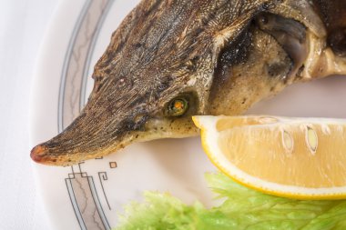 Pişmiş mersin balığı başkanı.