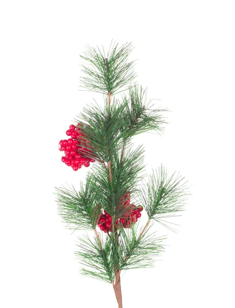 Artificial red berry and pine branch. — Stock Photo, Image