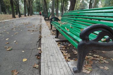 Sonbaharda cennet gibi bir parktaki banklar. Resimdeki çizgileri birleştirmek perspektifi iyi iletir. Yakın plan..