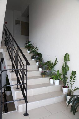 Merdivenler yeni bir apartmandır. Gayrimenkul reklamı..