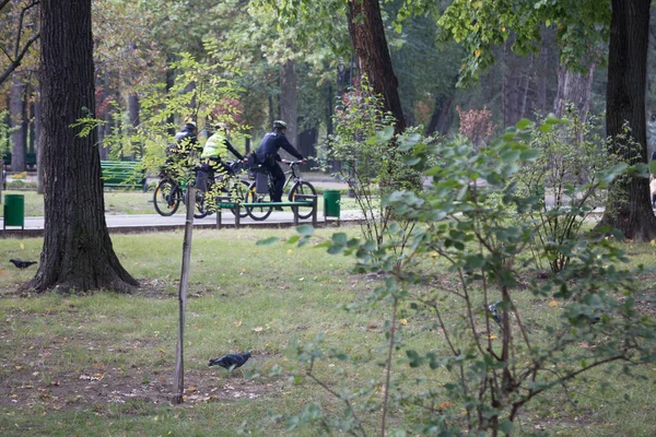 Egy Csapat Rendőr Biciklis Járőrözik Városi Park — Stock Fotó