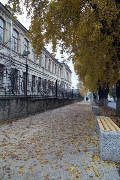 Nuevo Pavimento Calle Ciudad Ahí Están Pavimento Los Edificios Pushkin —  Fotos de Stock