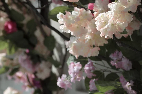 Flores Artificiales Diseño Calles Ciudad Una Nueva Ola Diseño Tienda — Foto de Stock