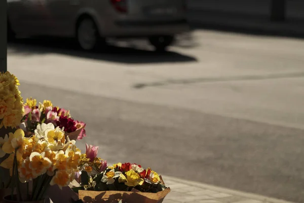 Květiny Paprscích Zapadajícího Slunce Rozmazaný Asfalt Ulice Používá Jako Pozadí — Stock fotografie