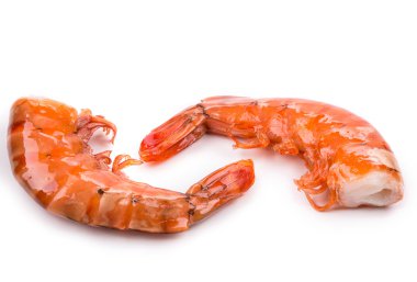 karides yakın çekim 