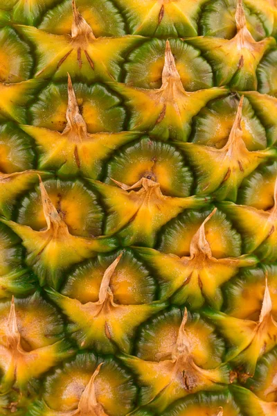 Doku ananas — Stok fotoğraf